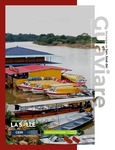 Municipio de San José del Guaviare : diagnóstico socioeconómico y de producción agropecuaria (2010-2019)