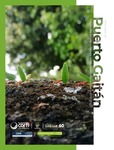 Municipio de Puerto Gaitán: diagnóstico socioeconómico y de producción agropecuario (2010-2022)