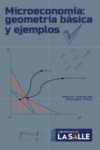 Microeconomía. Geometría básica y ejemplos by Marco Leonardo Penagos Rozo