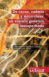 De cacao, cadmio y micorrizas: un vínculo genético insospechado by John Cristhian Fernández Lizarazo and Alia Rodríguez Villate