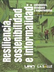 Resiliencia, sostenibilidad e informalidad: conceptos, enfoques y experiencias by Paula Andrea Cifuentes Ruiz and Yenny Yolanda Ortiz Bernal